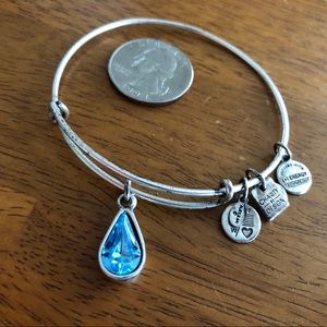 Alex and Ani Charity by Design Water Bangle